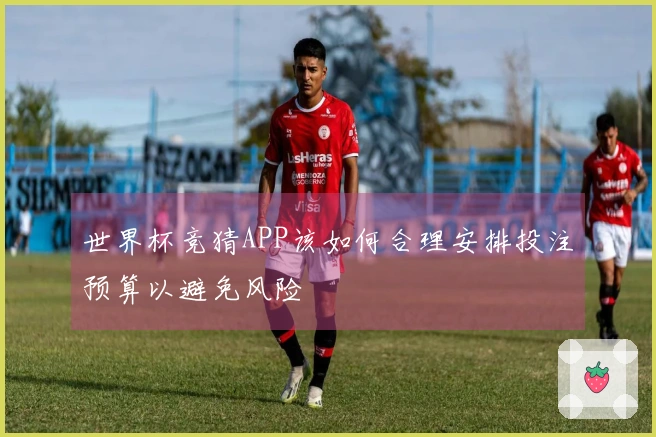 世界杯竞猜APP该如何合理安排投注预算以避免风险
