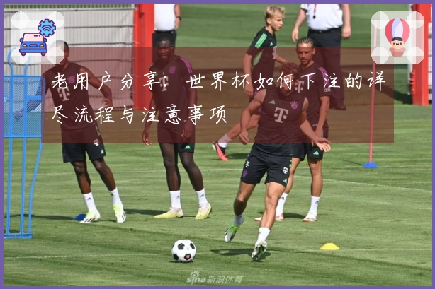 老用户分享：世界杯如何下注的详尽流程与注意事项