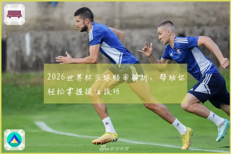 2026世界杯买球赔率解析，帮助你轻松掌握投注技巧